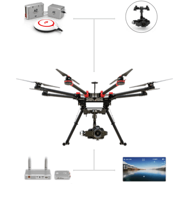 Spreading Wings S1000+