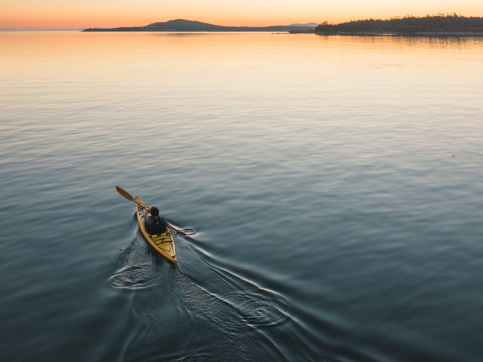 comparativa mavic 2 pro con mavic 2 zoom