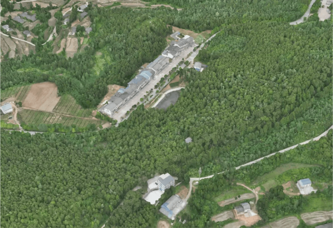 翠云廊山岭密布，环境复杂