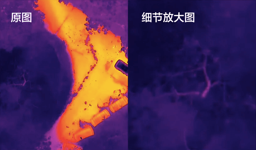 H20N 红外相机拍摄样片