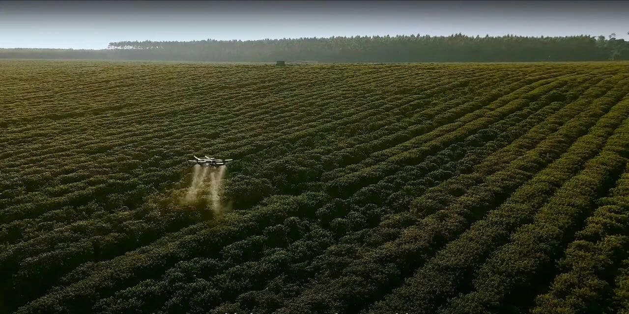 将大疆农业无人机应用在咖啡种植，他们已经率先见证了无人机投入使用后在效率上的提升和成本上的显著下降。