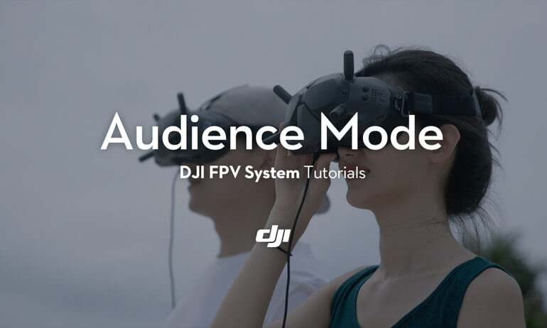 DJI FPV System Tutorials- The Audience Mode