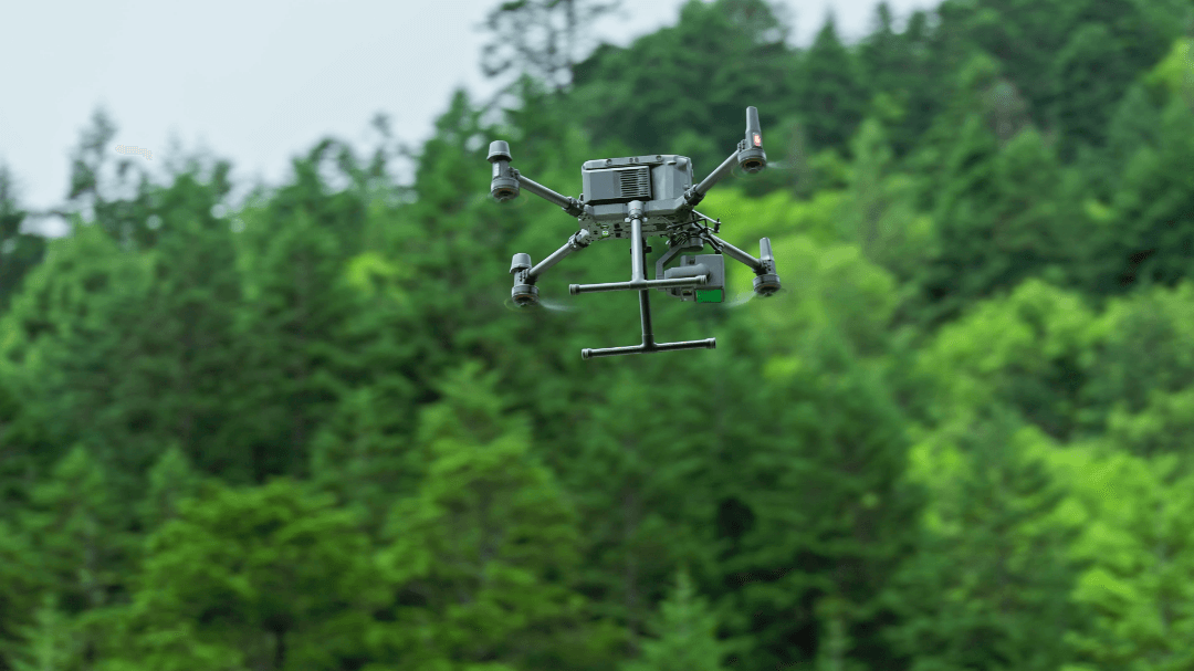 1500 米高差下，禅思 L2 高效获取林下高精度点云数据_新闻报道_DJI大疆行业应用