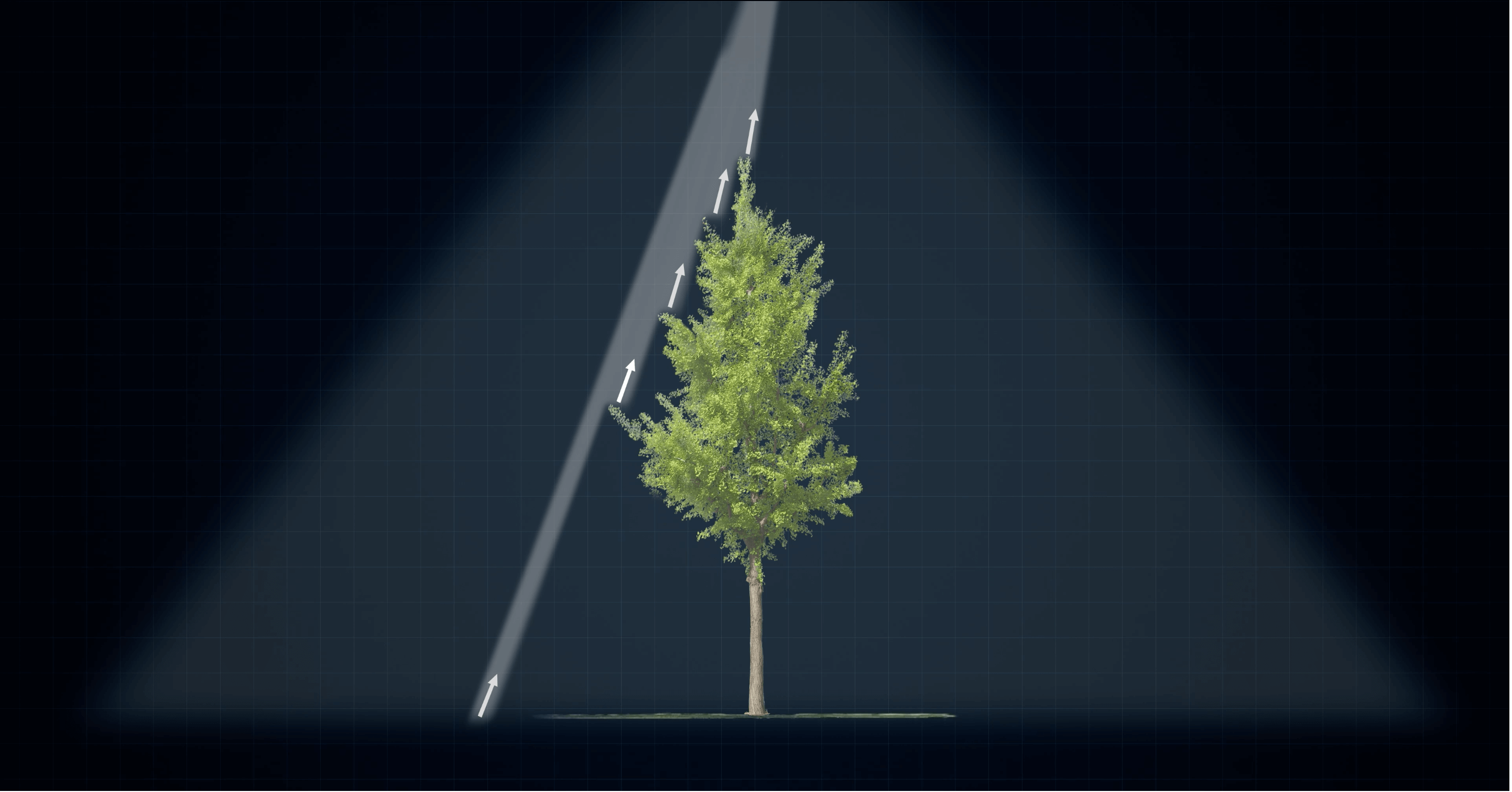 大疆行业全新激光雷达负载禅思 L2 发布：新一代平民化航测工具_新闻报道_DJI 大疆行业应用