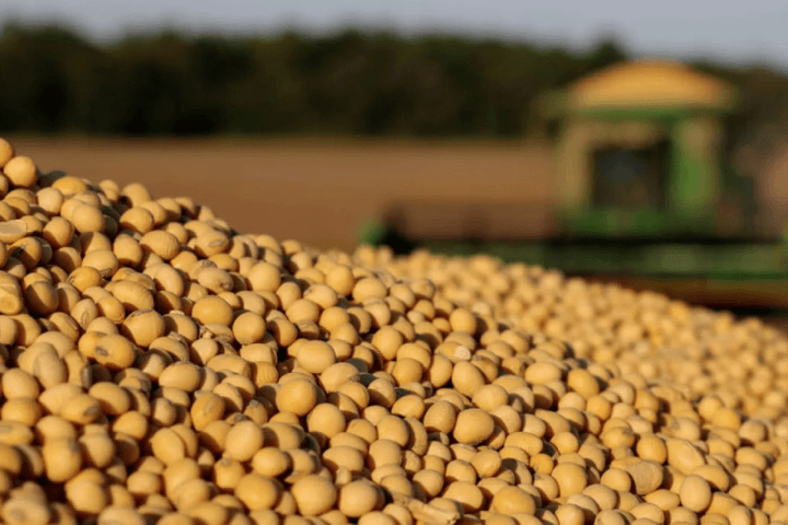 Today Brazil has become a soybean producer and exporter on par with