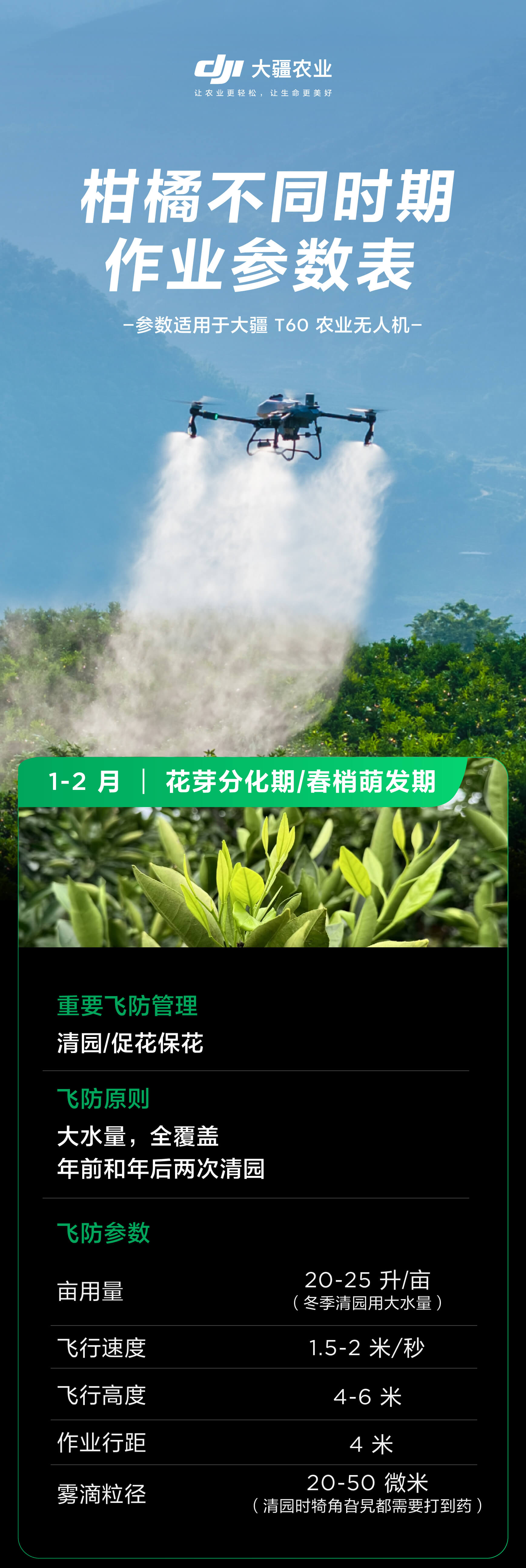 大疆农业、柑橘打药 、农业无人机