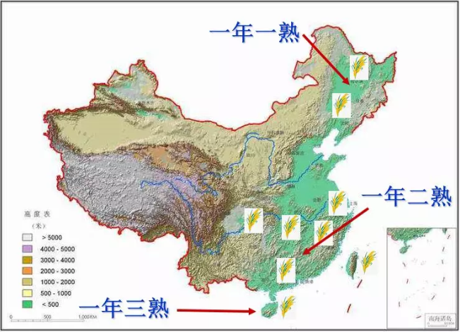 我国水稻种植分布及制度